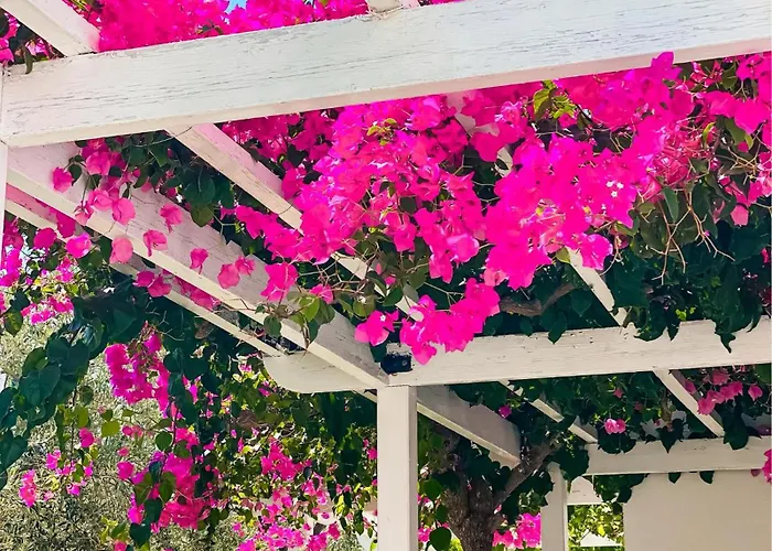 Athena Apart-hotel 3*