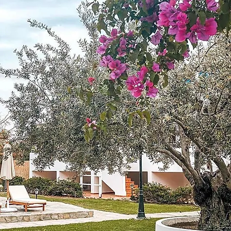 Athena Aparthotel Lindos (Rhodes)