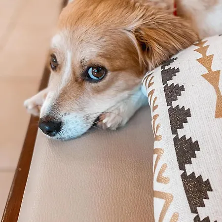 Athena 3* Lindos (Rhodes)