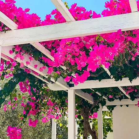 Athena Aparthotel 3*